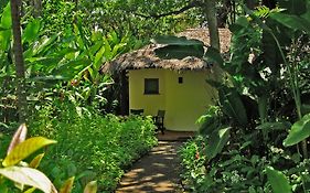 Moivaro Coffee Plantation Lodge 아루샤 Exterior photo