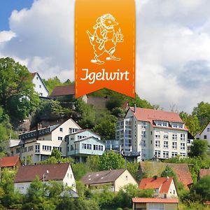 Berggasthof Hotel Igelwirt 슈나이타크 Exterior photo