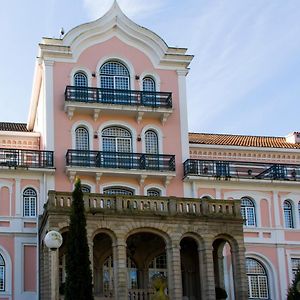 Inatel Palace S.Pedro Do Sul 테르마스 드 상 페드루 두 술 Exterior photo