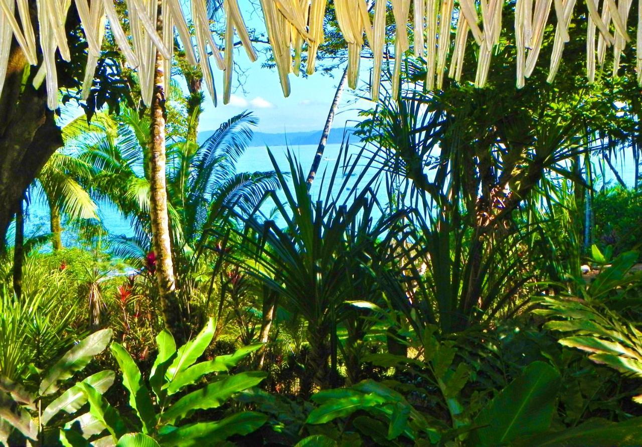 Copa De Arbol Beach & Rainforest Resort Drakes Bay 외부 사진