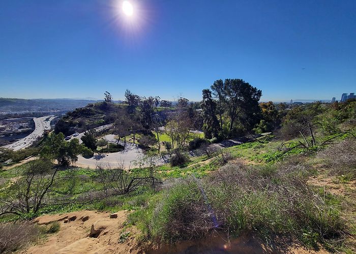 Elysian Park photo