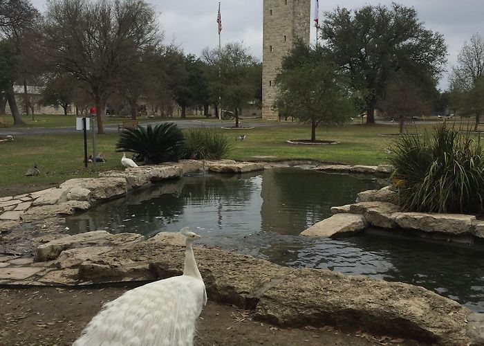 Fort Sam Houston Museum photo