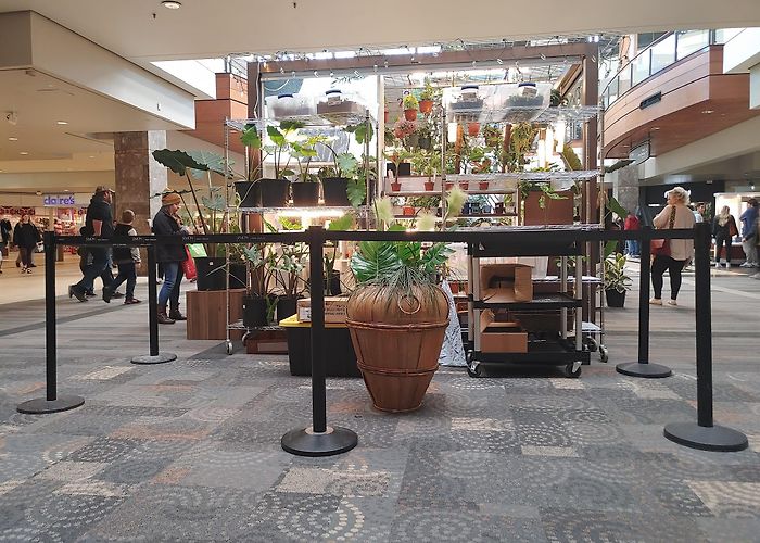 Haywood Mall Shopping Center photo