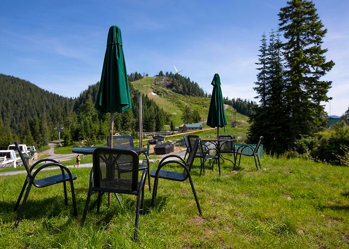 Grouse Mountain photo