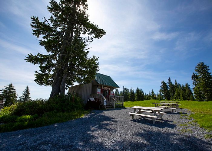 Grouse Mountain photo