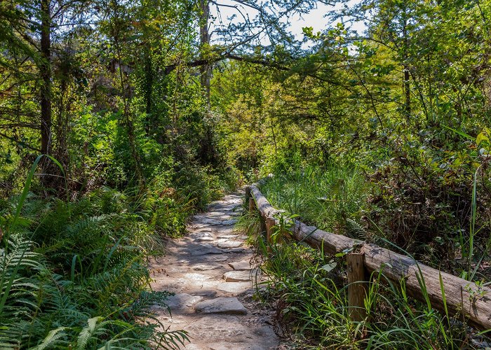 Hamilton Pool Preserve photo