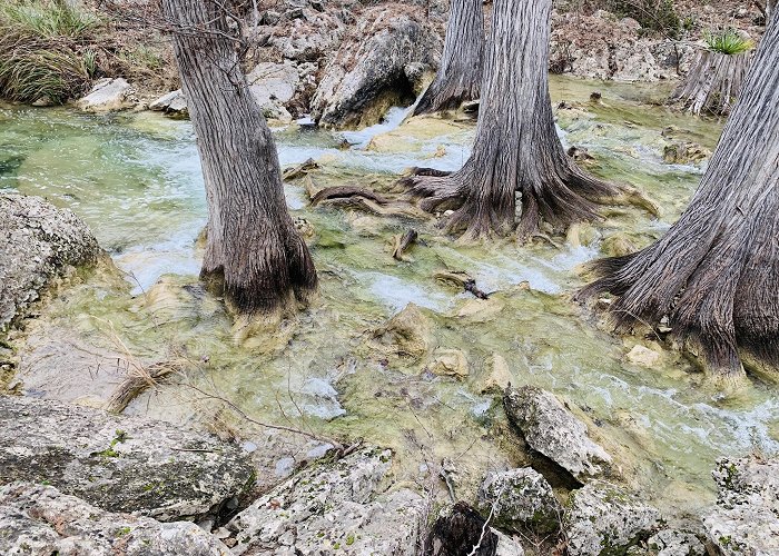 Hamilton Pool Preserve photo