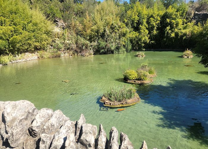 Japanese Tea Garden photo