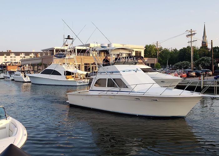 Annapolis Harbor photo