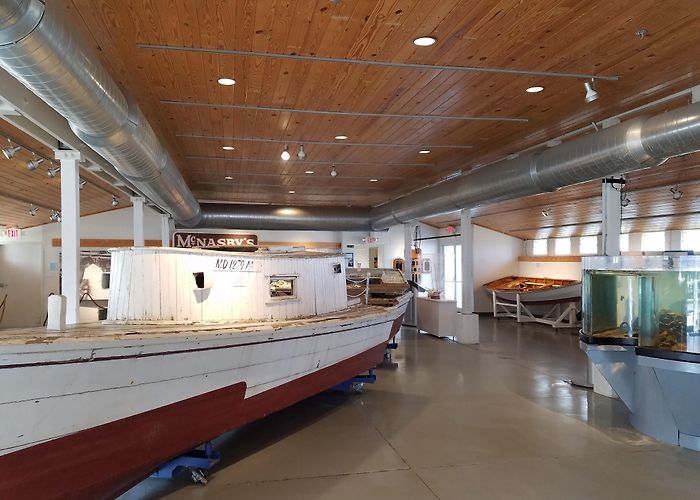 Annapolis Maritime Museum & Park photo