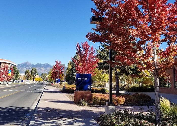 Northern Arizona University photo