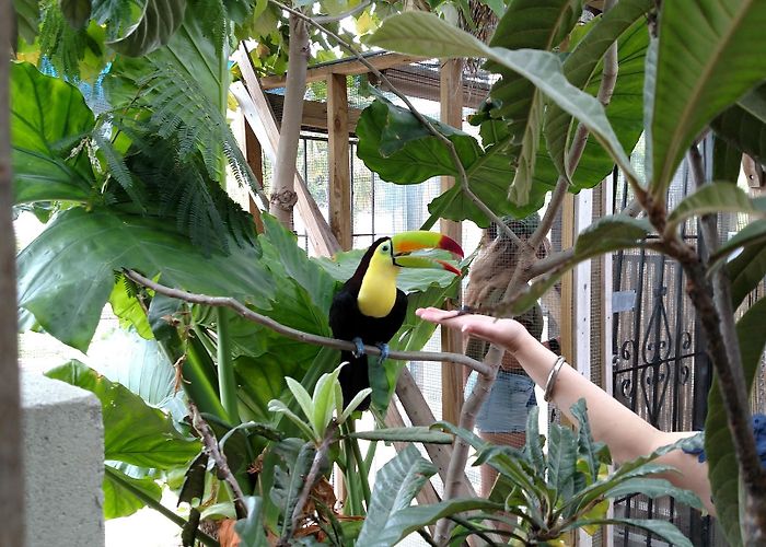 San Antonio Aquarium photo