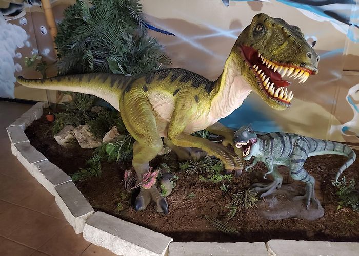 San Antonio Aquarium photo