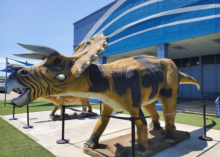 San Antonio Aquarium photo