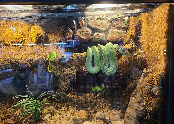 San Antonio Aquarium photo