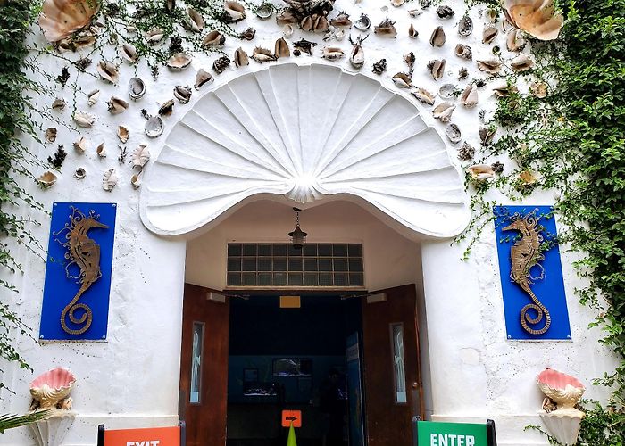 San Antonio Zoo and Aquarium photo