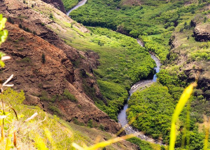 Waimea Canyon photo