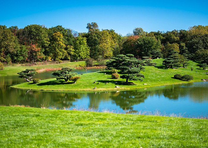 Chicago Botanic Garden photo