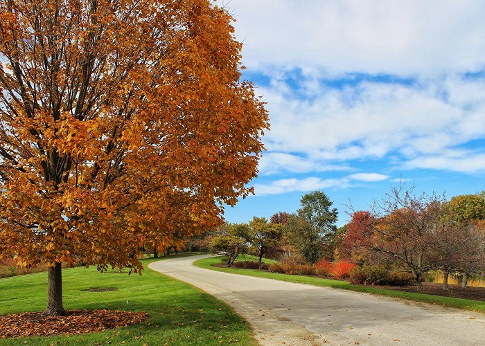 Chicago Botanic Garden photo