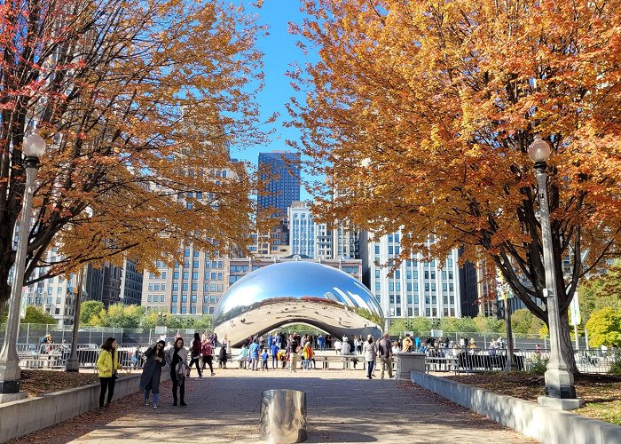 Cloud Gate photo