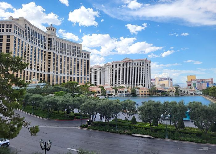 Bellagio Casino photo