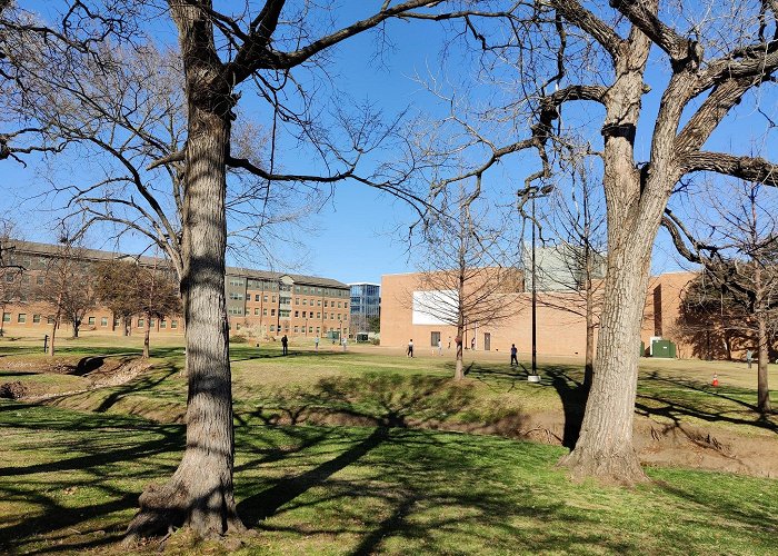 The University of Texas at Arlington photo