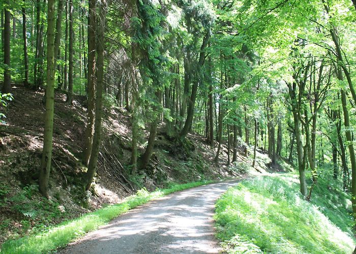 Kyffhäuser Visit Südharz: 2024 Travel Guide for Südharz, Saxony-Anhalt | Expedia photo