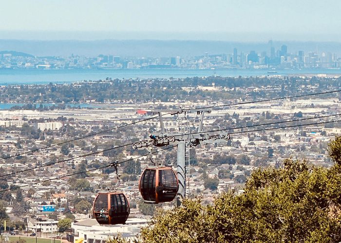 Oakland Zoo Oakland Zoo this morning : r/bayarea photo