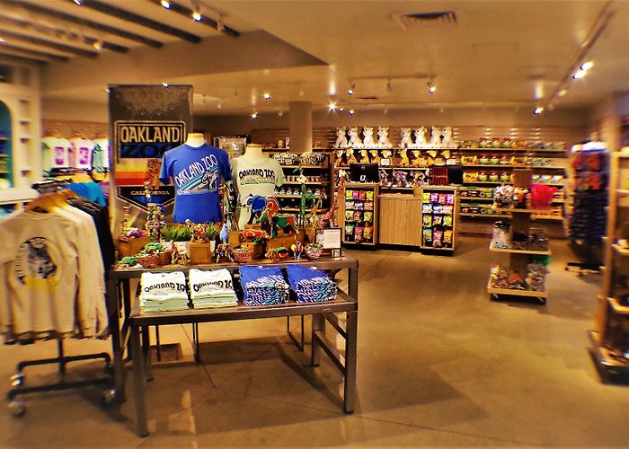 Oakland Zoo Oakland Zoo photo