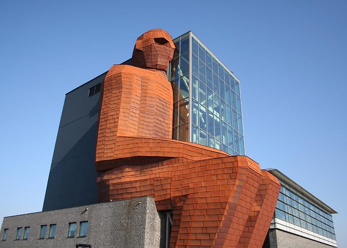 CORPUS CORPUS 'journey through the human body' | Streek van Verrassingen photo