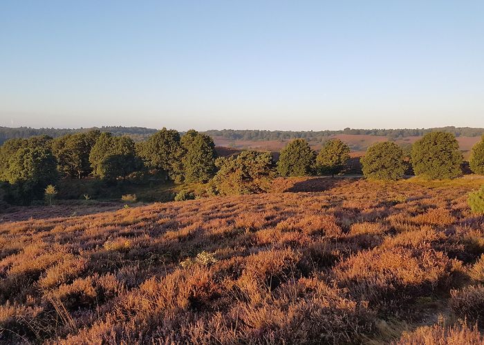 Posbank Visit Rheden: 2024 Travel Guide for Rheden, Gelderland | Expedia photo