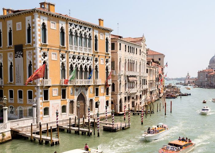 Gallerie dell' Accademia Gallerie dell'Accademia – Museum Review | Condé Nast Traveler photo