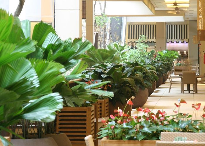 Cidade Jardim Shopping Mall Cidade Jardim Mall - Projects - Arthur Casas photo