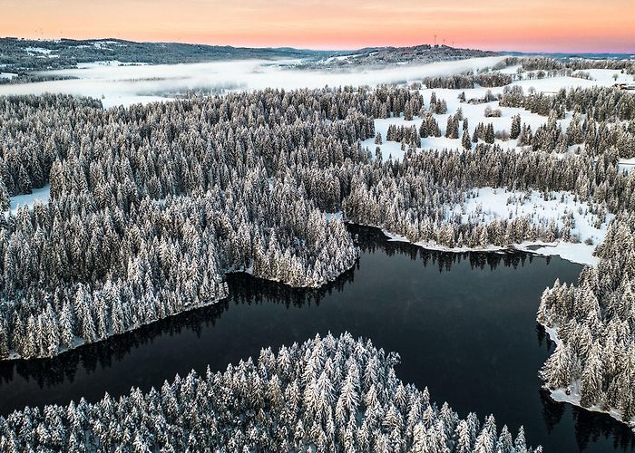 Étang de la Gruère Étang de la Gruère | Switzerland Tourism photo