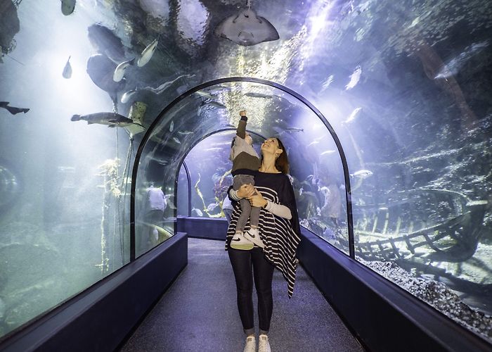 Océarium Océarium - LE CROISIC photo