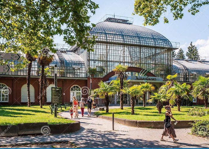 Palmengarten 302 Palmengarten Stock Photos - Free & Royalty-Free Stock Photos ... photo