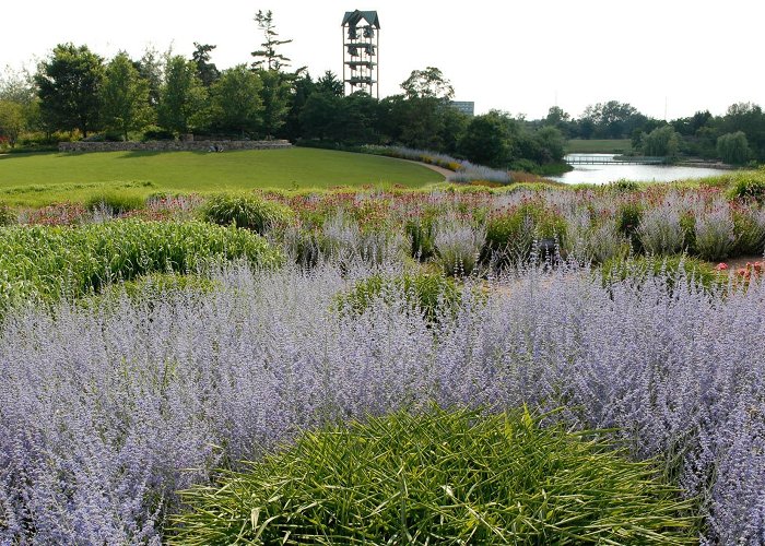 Chicago Botanic Garden Chicago Botanic Garden — Garden Review | Condé Nast Traveler photo