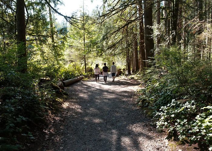 Lynn Canyon Park Lynn Canyon Park | Lynn Canyon Suspension Bridge photo