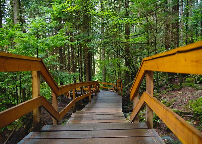 Lynn Canyon Park Boardwalk trail replacement underway in Lynn Canyon Park - North ... photo