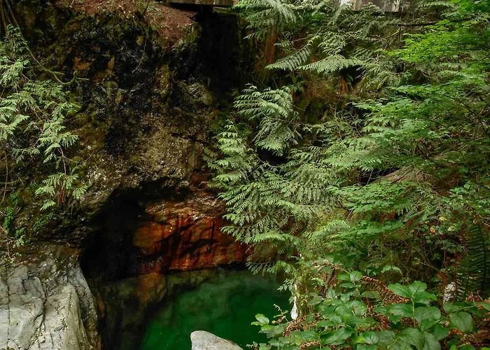 Lynn Canyon Park Exploring Lynn Canyon Park – Backwoods Mama photo