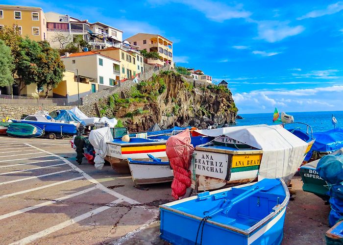 Dogs House 2 Suitcases for 2 years – Page 3 – Traveling the world, on the ... photo