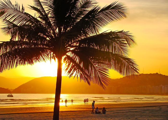 SESC - Santo Amaro Theater Visit Santos: 2024 Travel Guide for Santos, São Paulo State | Expedia photo