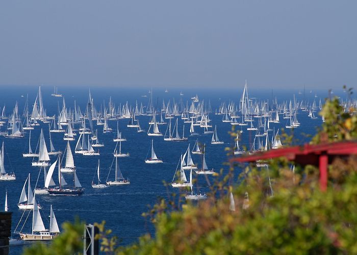 University of Trieste The University of Trieste In The Barcolana Village: Many Events On ... photo