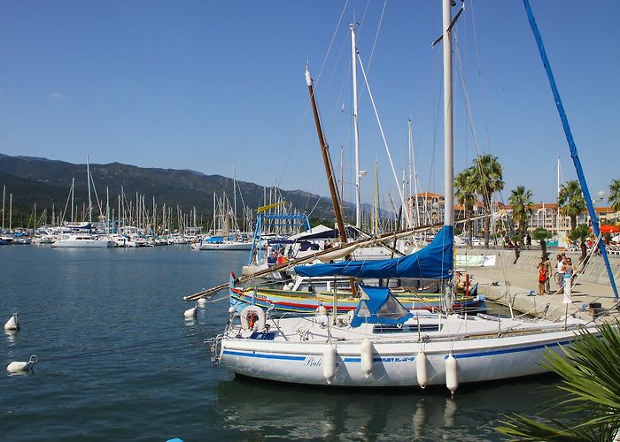 Reserve Naturelle Nationale du Mas-Larrieu Visit Argelès-sur-Mer: 2024 Travel Guide for Argelès-sur-Mer ... photo