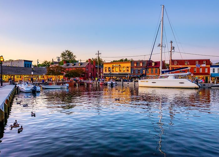 Annapolis Harbor Visit Annapolis - City Dock photo