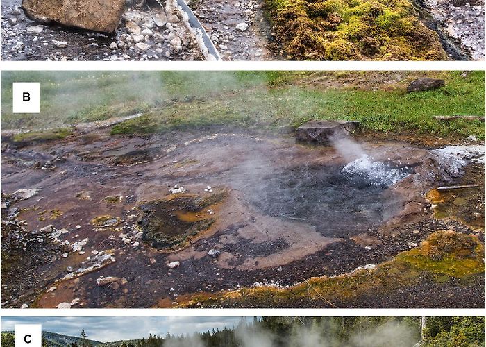 Contursi Hot Springs Frontiers | Comparative Analysis of Microbial Diversity Across ... photo