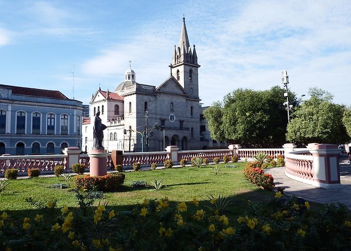 Manaus Courthouse Church of Sao Sebastiao Tours - Book Now | Expedia photo