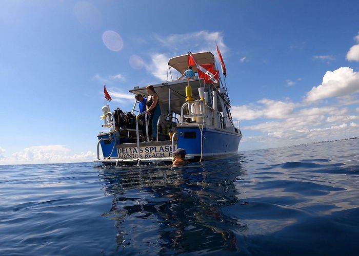 Splashdown Park Contact Us — Splash Down Divers photo