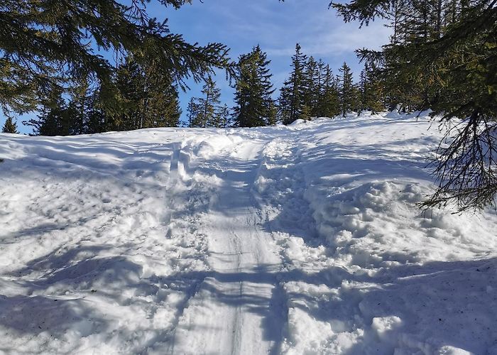 Nob Nob from Innerlaters • Ski Touring » outdooractive.com photo