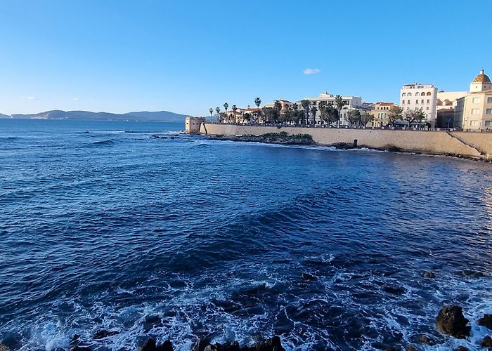 Alghero photo